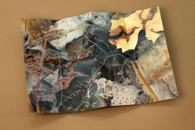 Printed edition, 2022, Credits: Lisa Hoffmann