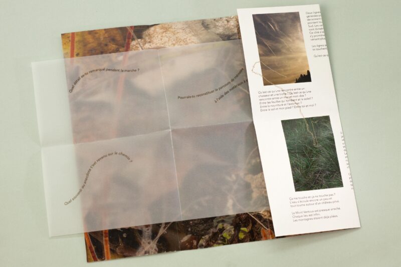 Printed edition, 2022, Credits: Lisa Hoffmann